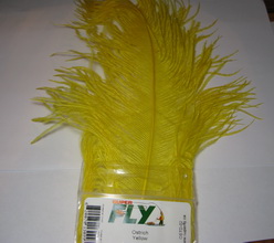 osridge herls yellow Super Fly